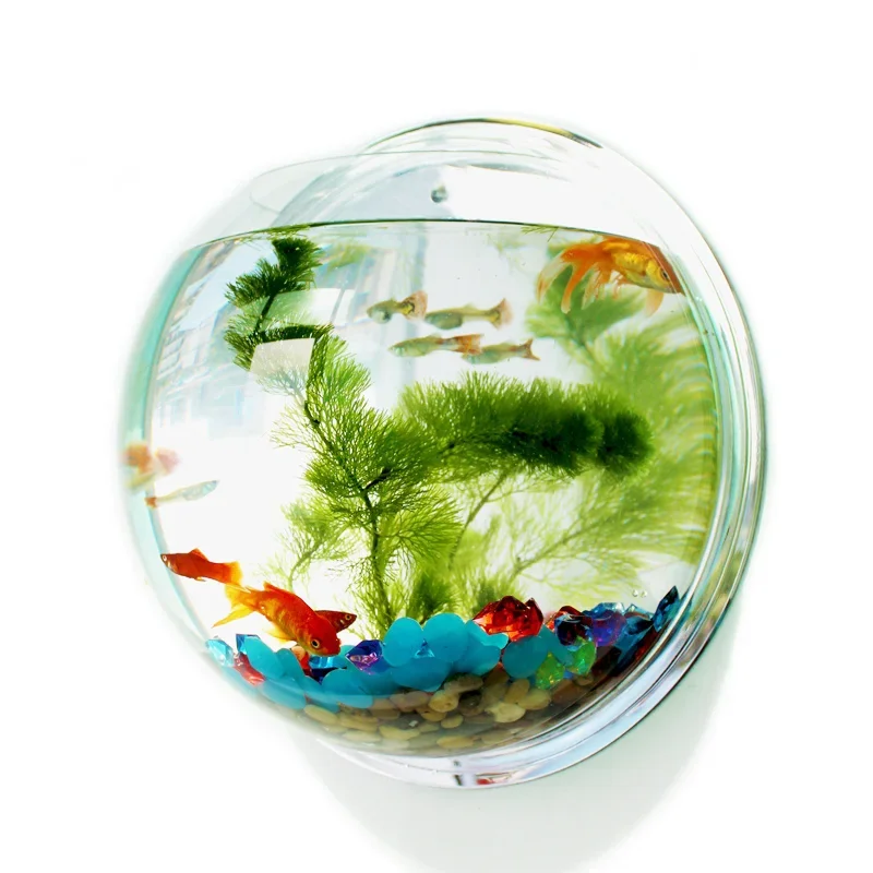 Aquarium Fish In Bowl - Pinsjar アクリル金魚鉢壁掛け水族館タンク水生ペット用品ペット製品壁掛け水槽ベタ魚用