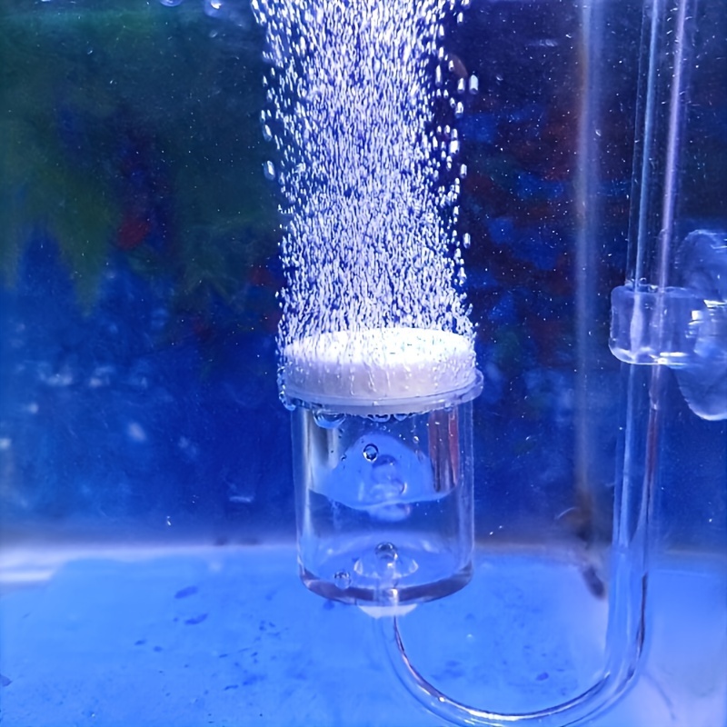 Aquarium Fish Quarantine - 水族館用のCO2噴霧器とディフューザー,バブルカウンター,吸盤で確認,植えられた水槽の付属品