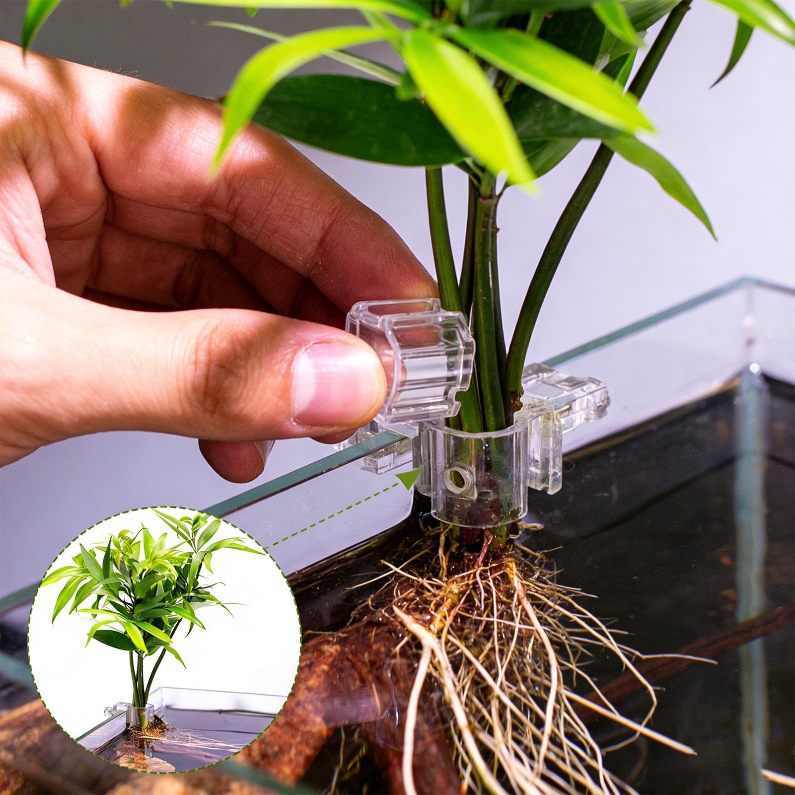 Aquarium Fish Elevator - 6個入り水槽植物ホルダーサポートカップミニ水槽プランターポット水槽用フィーダー、水槽家庭栽培用