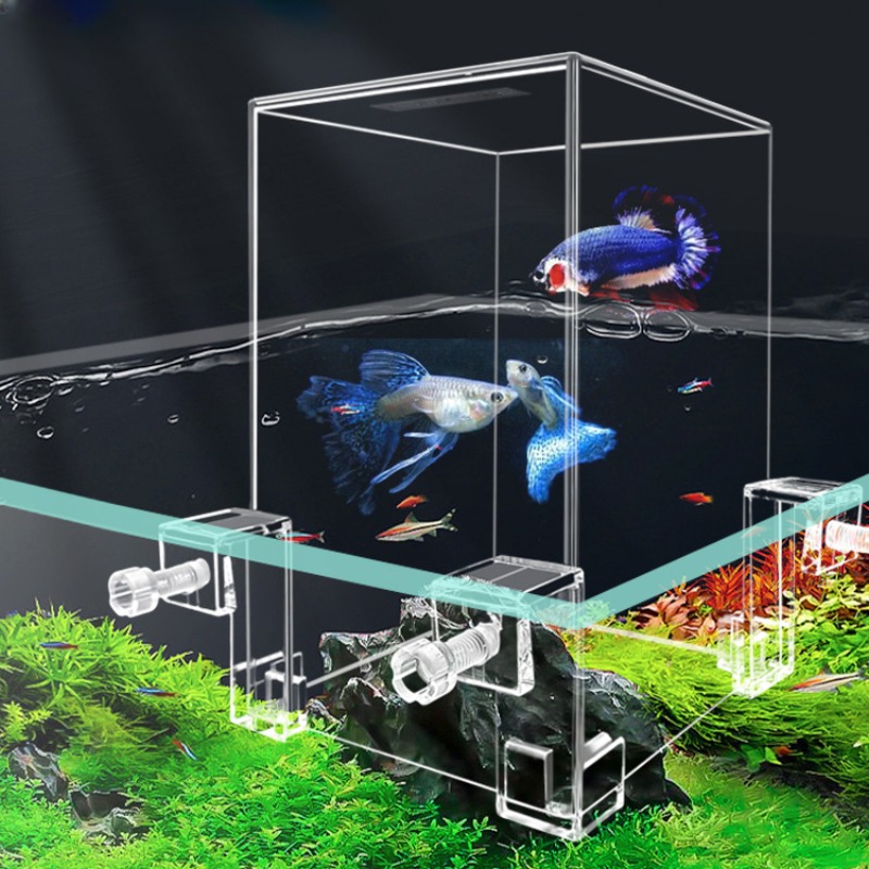 Aquarium Fish In Bowl - 小さな魚のための負の圧力、創造的な装飾、エコロジカル水族館、ポットの分離、カクテルボウル