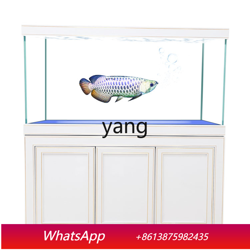 Aquarium Fish Dragon - LHスーパーホワイトガラス製中型・大型高級龍魚水槽底面フィルター生態水槽リビングルームプロ仕様