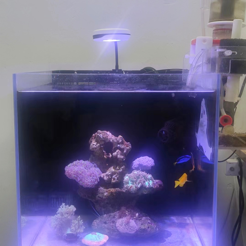 スペクトラ20Wナノクリップオンリフジウムライト2チャンネル - Refugium Light Nano のレビューと価格