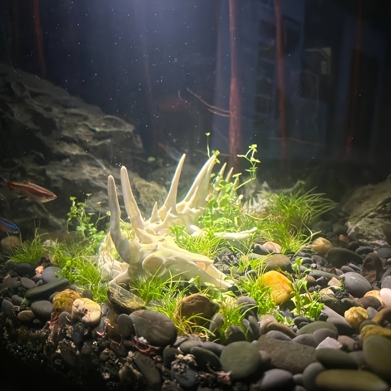 1個入り ドラゴン型魚骨飾り 水槽用 ドラゴンボーン化石オー - Aquarium Fish Dragon のレビューと価格