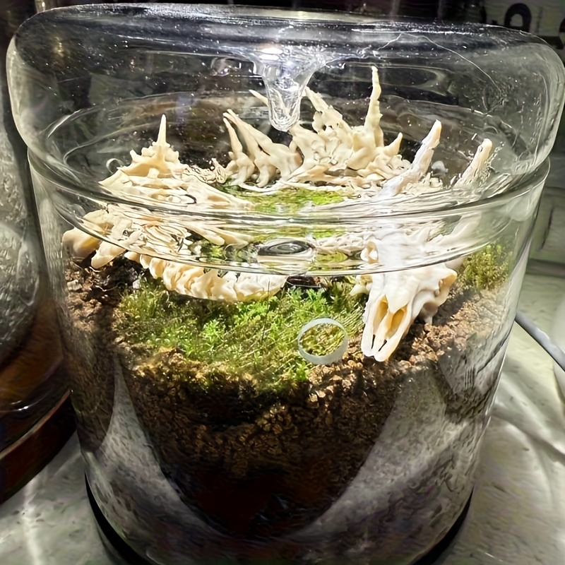 1個入り ドラゴン型魚骨飾り 水槽用 ドラゴンボーン化石オー - Aquarium Fish Dragon のレビューと価格