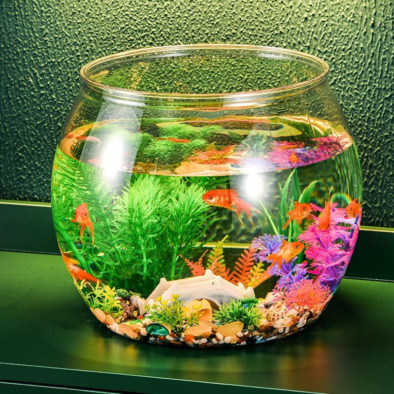 透明プラスチック製金魚鉢、漏れ防止小型水槽、再利用可能な水耕 - Aquarium Fish In Bowl のレビューと価格