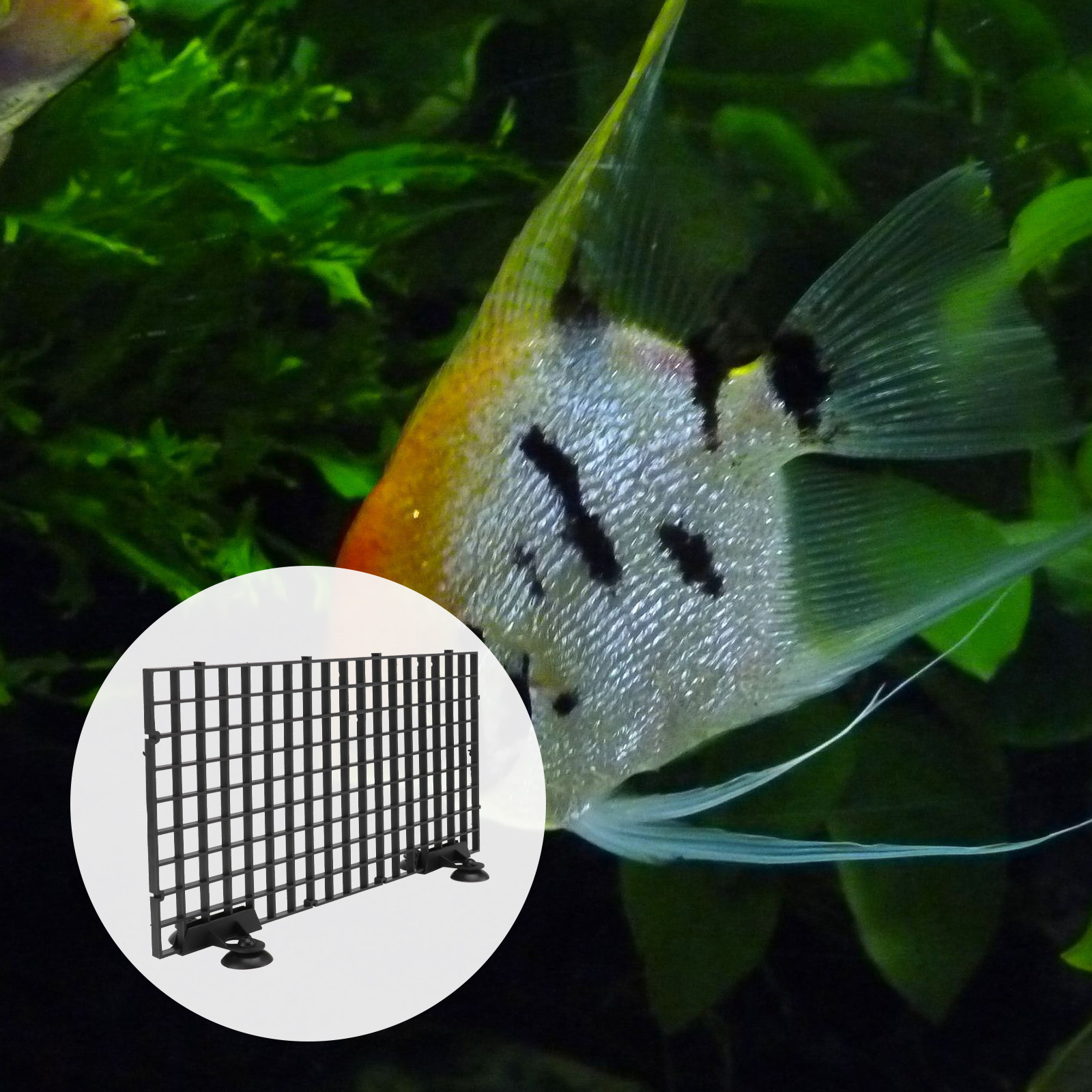 魚繁殖用ネット 大型 黒色プラスチックフィルターグリッドボー - Aquarium Fish Net Big Size のレビューと価格