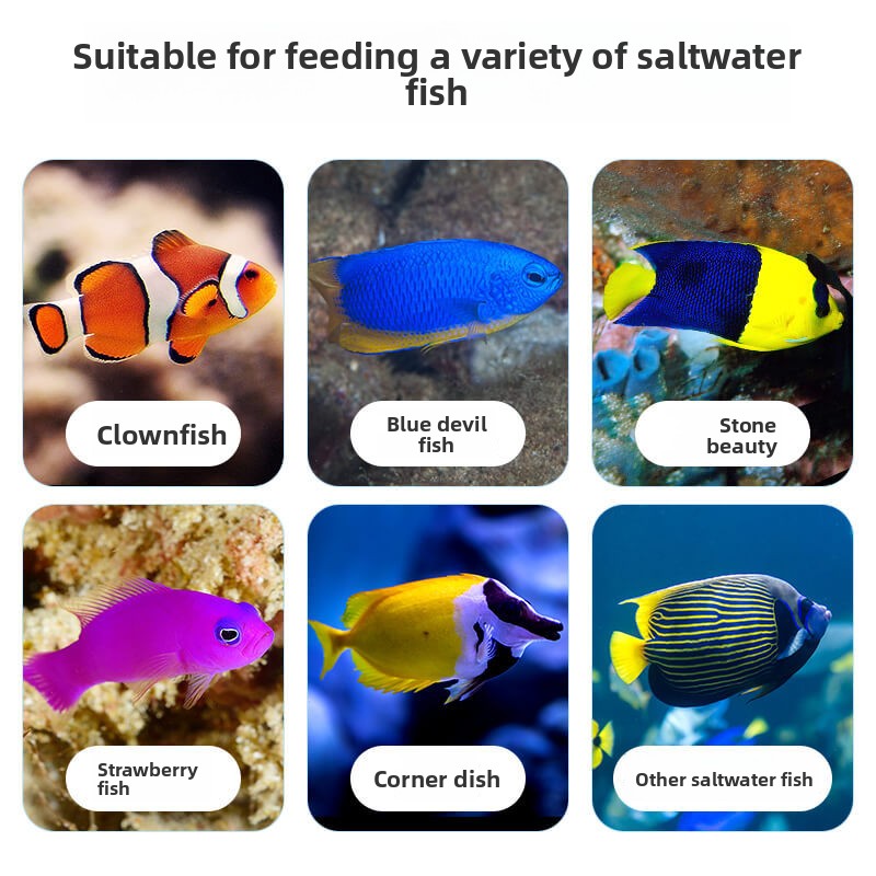 ディーラ クローフィッシュ＆タンフード |   すべての食肉 - All Fish In Aquarium のレビューと価格