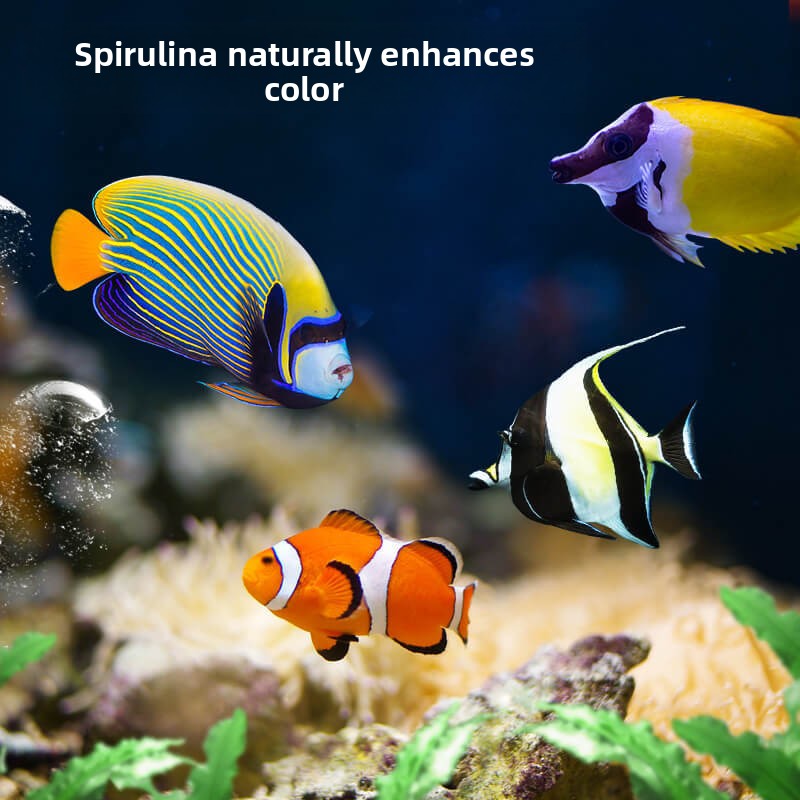 ディーラ クローフィッシュ＆タンフード |   すべての食肉 - All Fish In Aquarium のレビューと価格