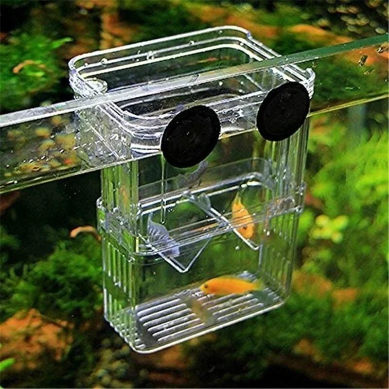 透明魚水族館高クリア繁殖分離ボックスペット用品ブリーダータン - Aquarium Fish In Bowl のレビューと価格