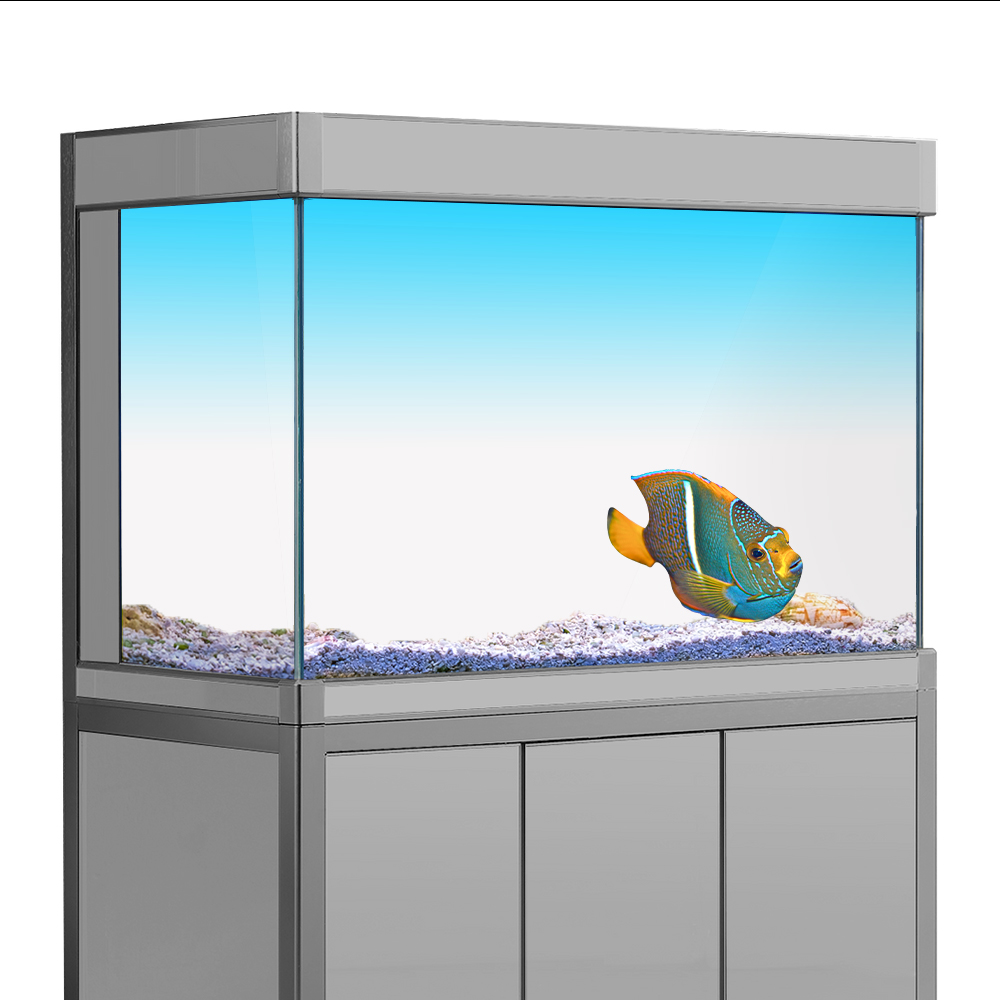 水槽背景ステッカー白黄緑青シアングラデーションシンプルな印刷 - Aquarium Fish Yellow のレビューと価格
