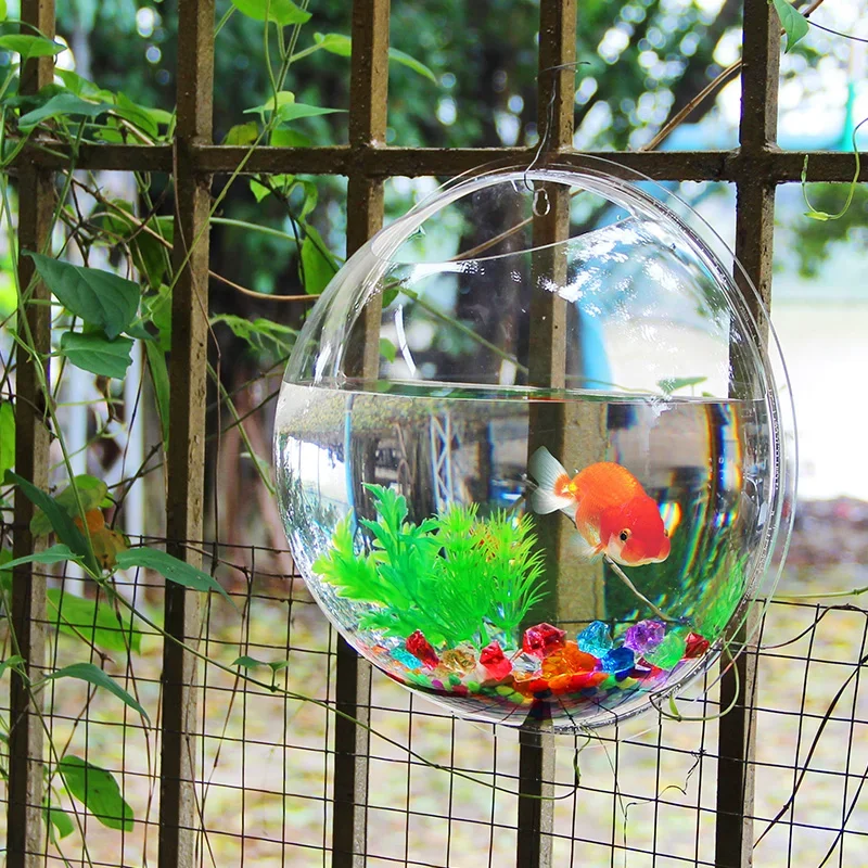 Pinsjar アクリル金魚鉢壁掛け水族館タンク水生ペット用 - Aquarium Fish In Bowl のレビューと価格