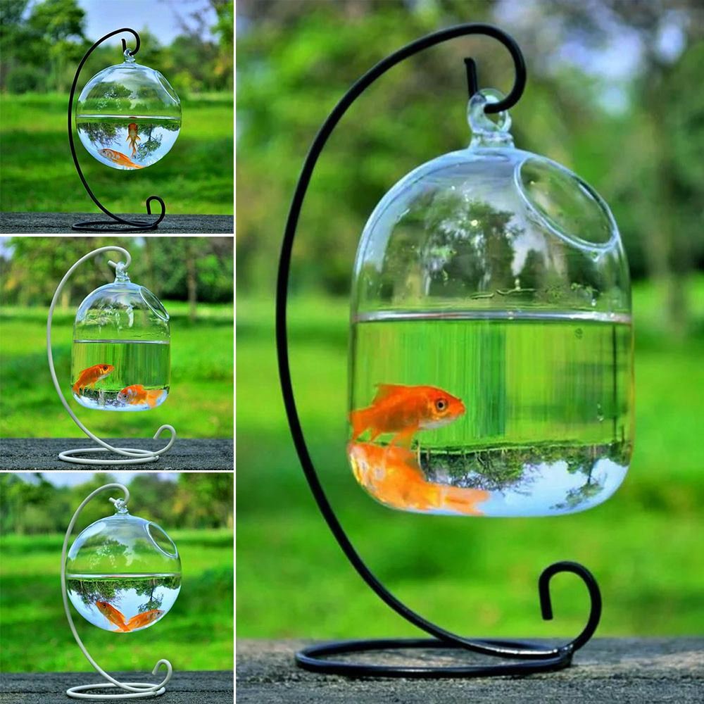 水槽飾り壁掛けラックホルダー付きホームデコレーション水槽魚鉢 - Aquarium Fish In Bowl のレビューと価格