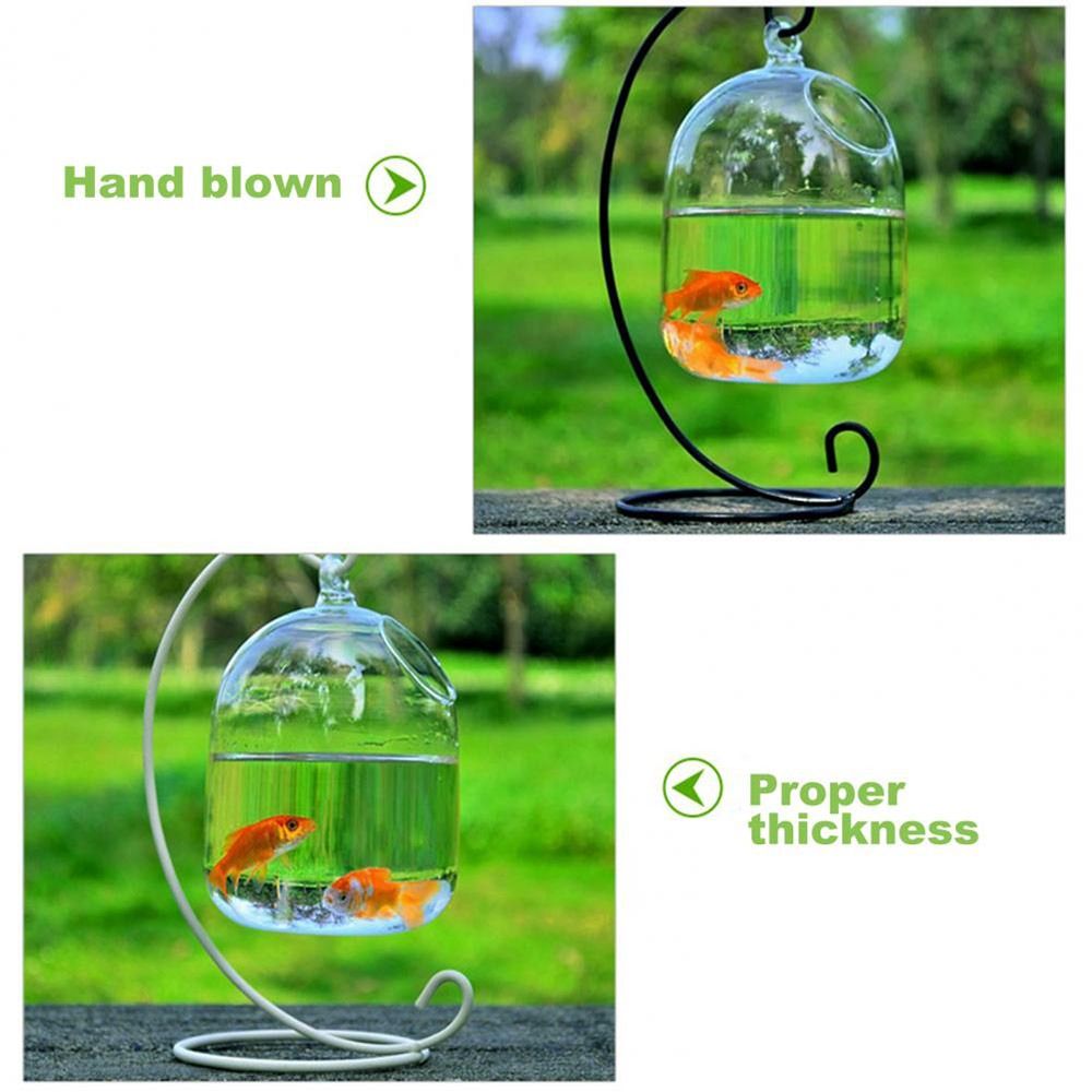 水槽飾り壁掛けラックホルダー付きホームデコレーション水槽魚鉢 - Aquarium Fish In Bowl のレビューと価格