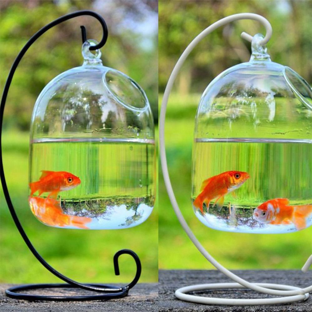 水槽飾り壁掛けラックホルダー付きホームデコレーション水槽魚鉢 - Aquarium Fish In Bowl のレビューと価格