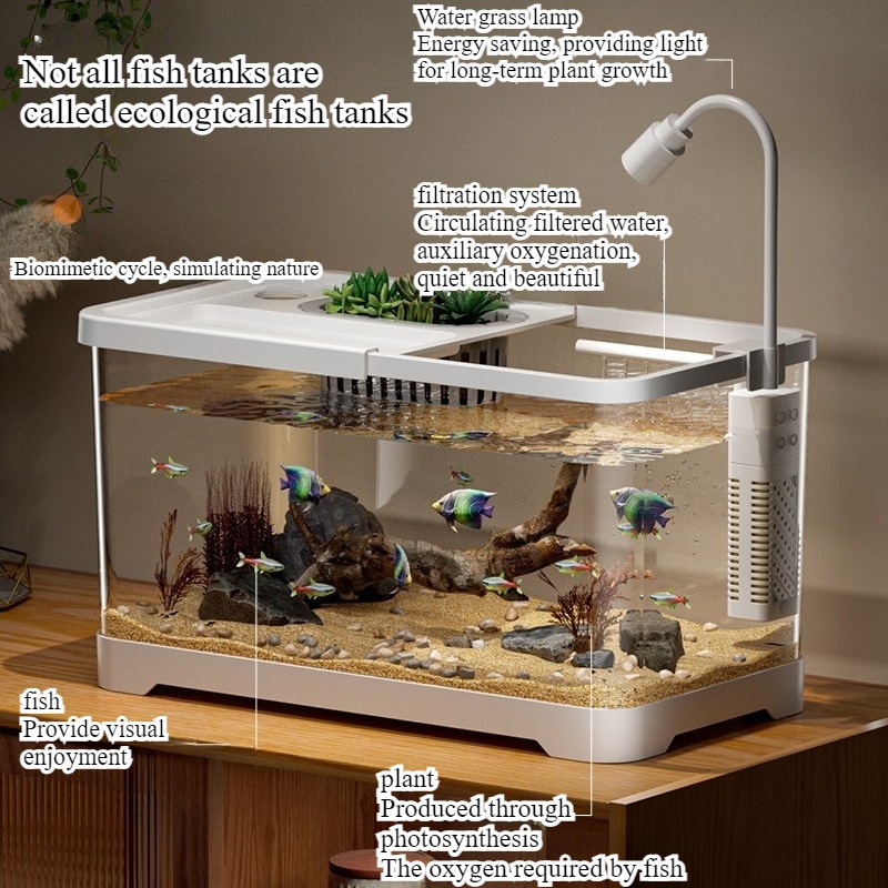 水槽 家庭用水槽 リビングルーム 卓上 生態循環水槽 フィル - Aquarium Fish In Bowl のレビューと価格