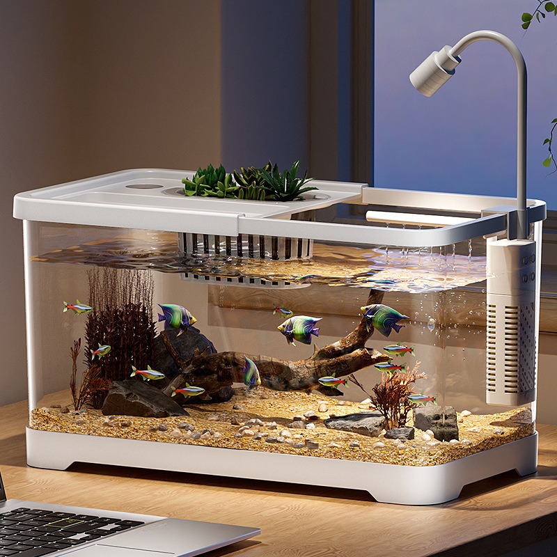 水槽 家庭用水槽 リビングルーム 卓上 生態循環水槽 フィル - Aquarium Fish In Bowl のレビューと価格