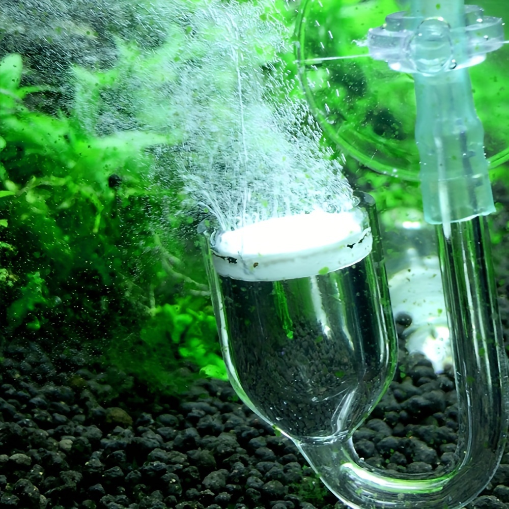水族館用のCO2噴霧器とディフューザー,バブルカウンター,吸 - Aquarium Fish Quarantine のレビューと価格