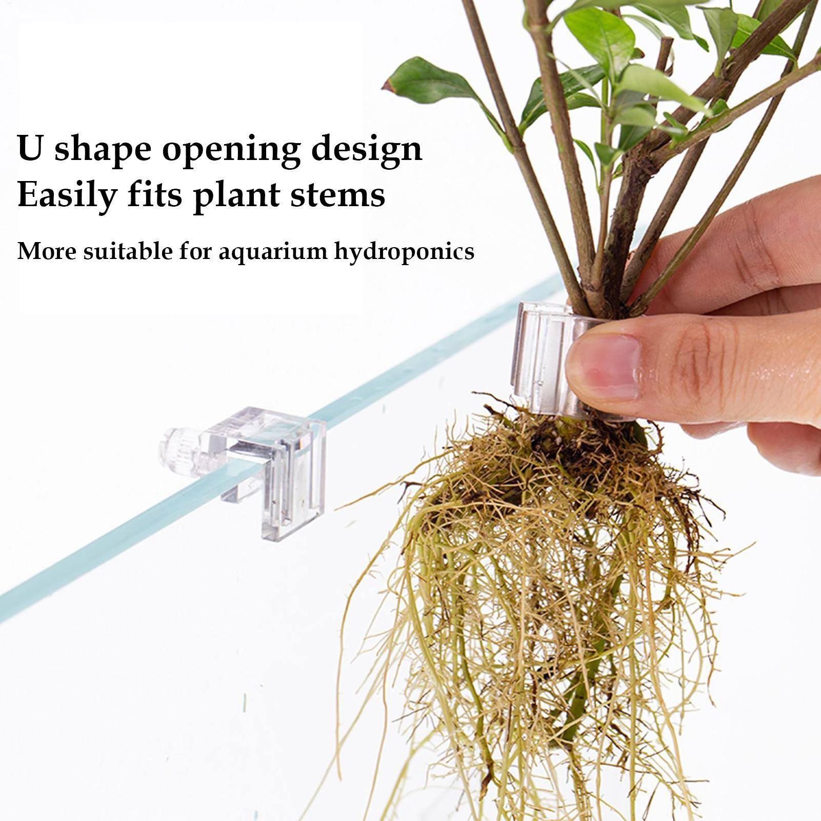 6個入り水槽植物ホルダーサポートカップミニ水槽プランターポッ - Aquarium Fish Elevator のレビューと価格