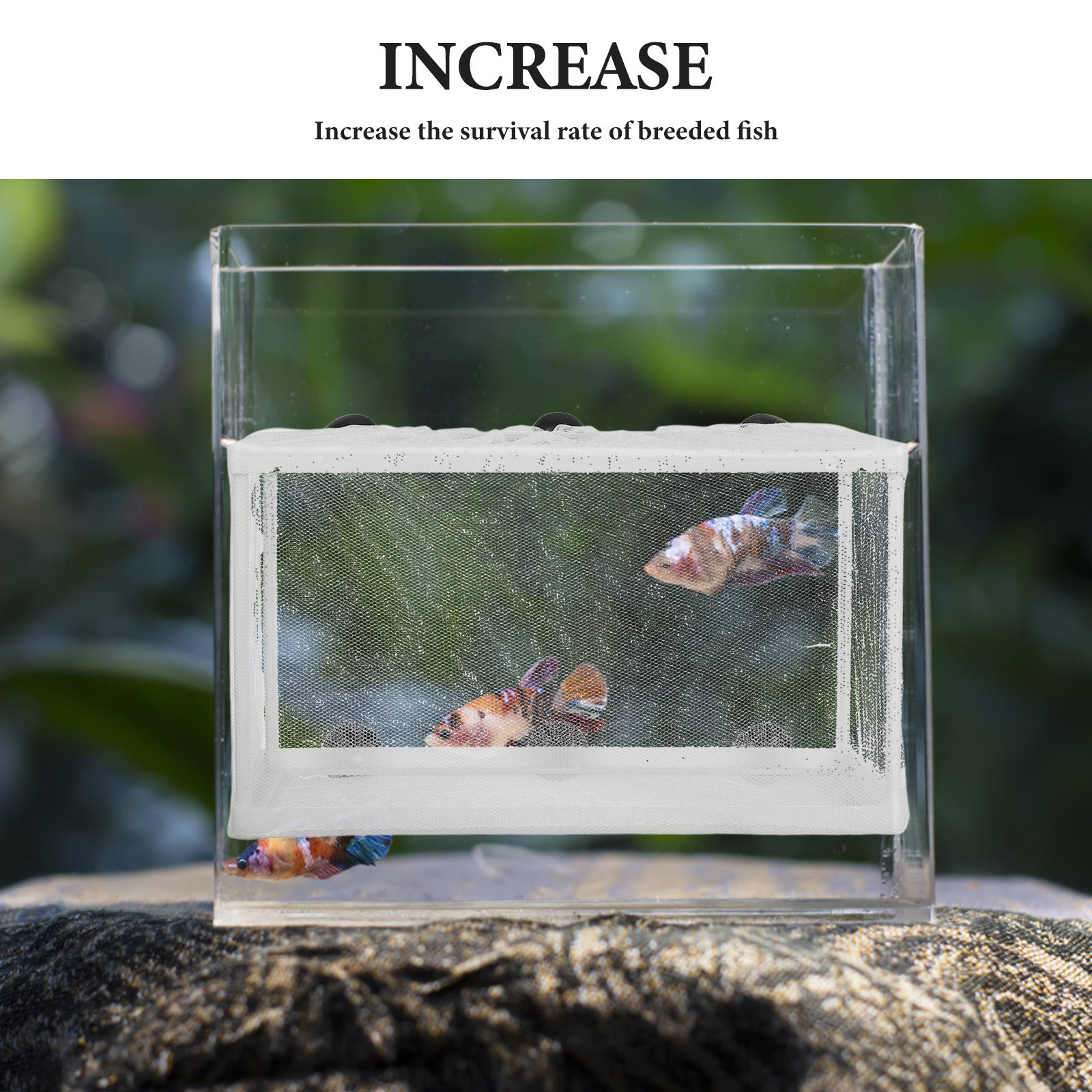 大型ポリエステルフレーム水槽用孵卵器、幼魚分離用吸盤付き魚網 - Aquarium Fish Net Big Size のレビューと価格