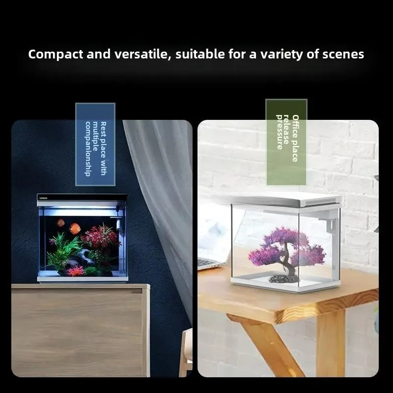超白ガラス製小型水槽、水換え不要で酸素供給可能、リビングルー - Aquarium Fish Without Oxygen のレビューと価格