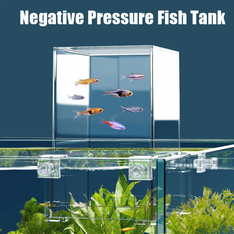 小さな魚のための負の圧力、創造的な装飾、エコロジカル水族館、 - Aquarium Fish In Bowl のレビューと価格