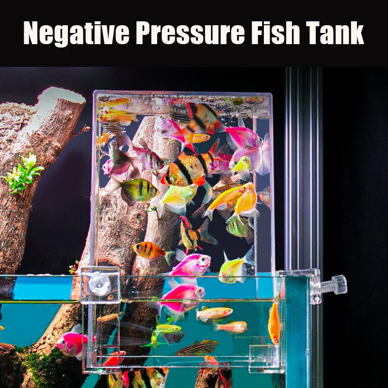 小さな魚のための負の圧力、創造的な装飾、エコロジカル水族館、 - Aquarium Fish In Bowl のレビューと価格