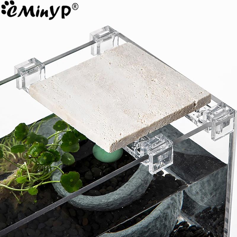 4 個の水槽アクリルクリップ 5.5 ミリメートル〜 15  - Aquarium Fish Elevator のレビューと価格