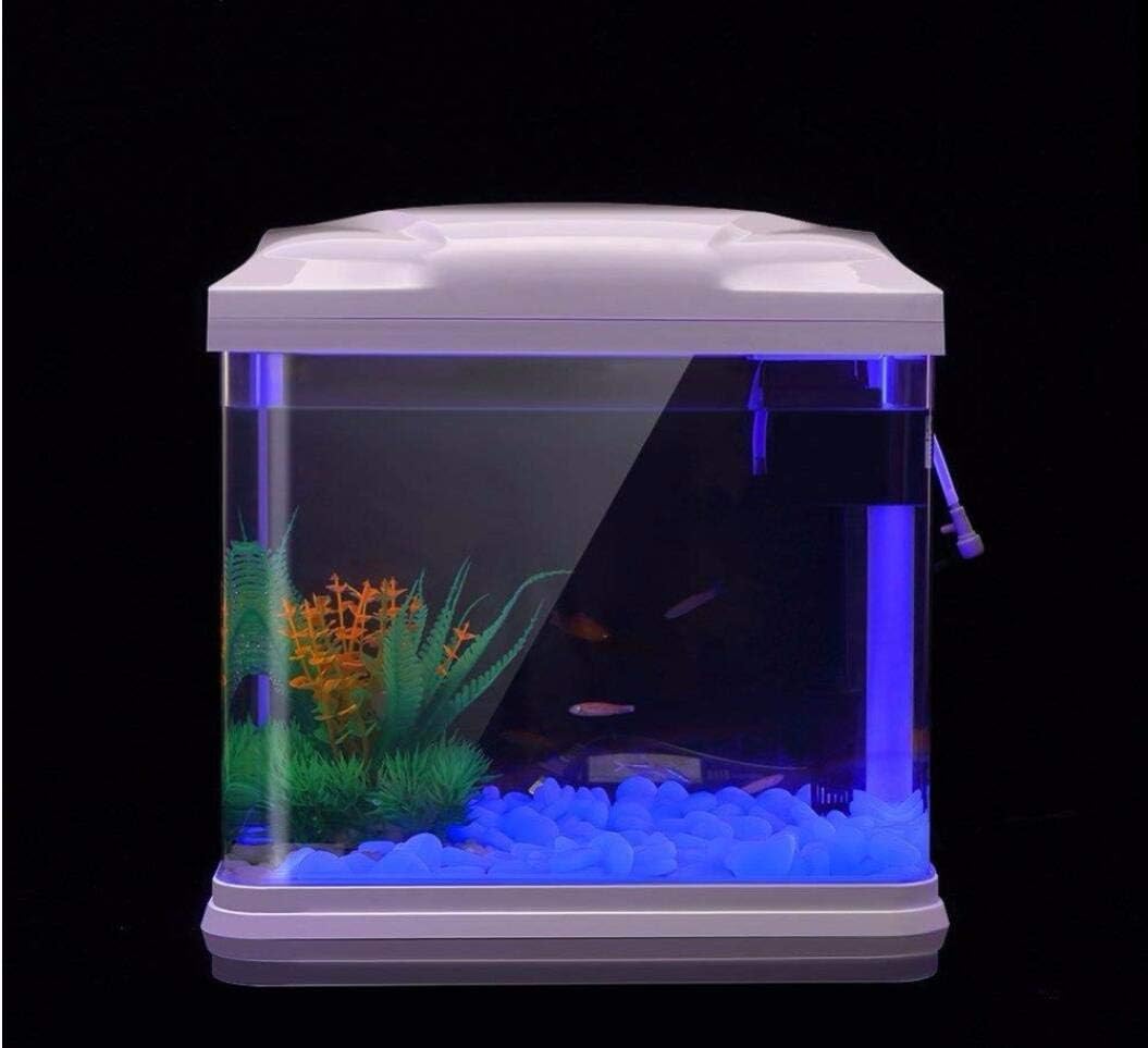水槽岩グローブルー小石庭用水槽水族館植木鉢盆栽歩道私道 - Aquarium Fish Quarantine のレビューと価格