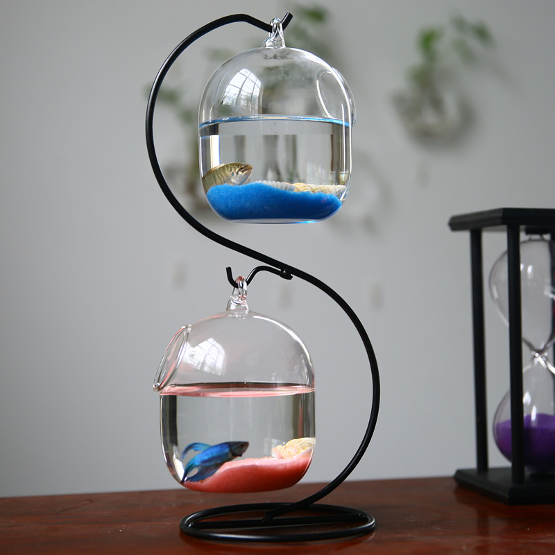 水族館用の透明なサスペンションガラス,花の植物が付いたダブル - Aquarium Fish In Bowl のレビューと価格