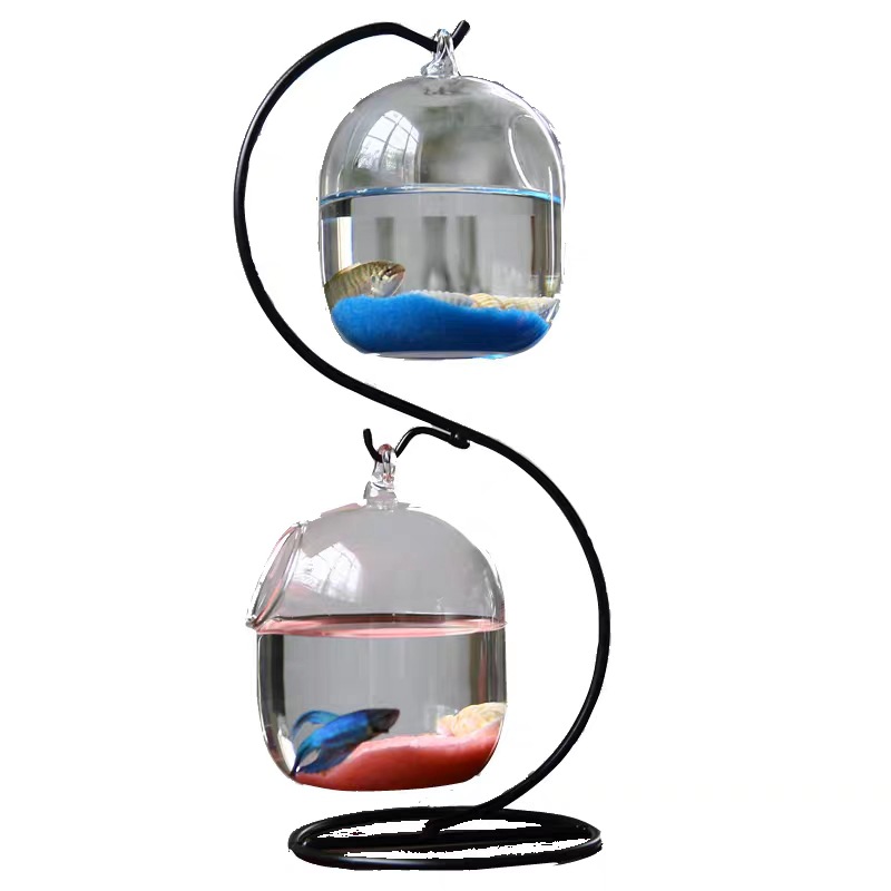 水族館用の透明なサスペンションガラス,花の植物が付いたダブル - Aquarium Fish In Bowl のレビューと価格