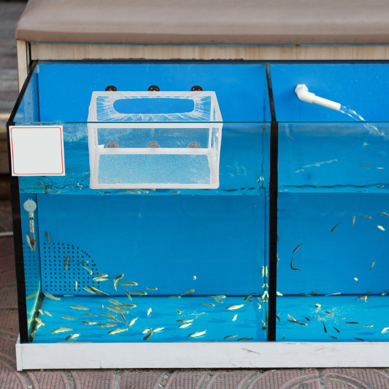 大型魚網 孵卵器 水族館用吸盤付き魚箱 ポリエステルネット  - Aquarium Fish Net Big Size のレビューと価格