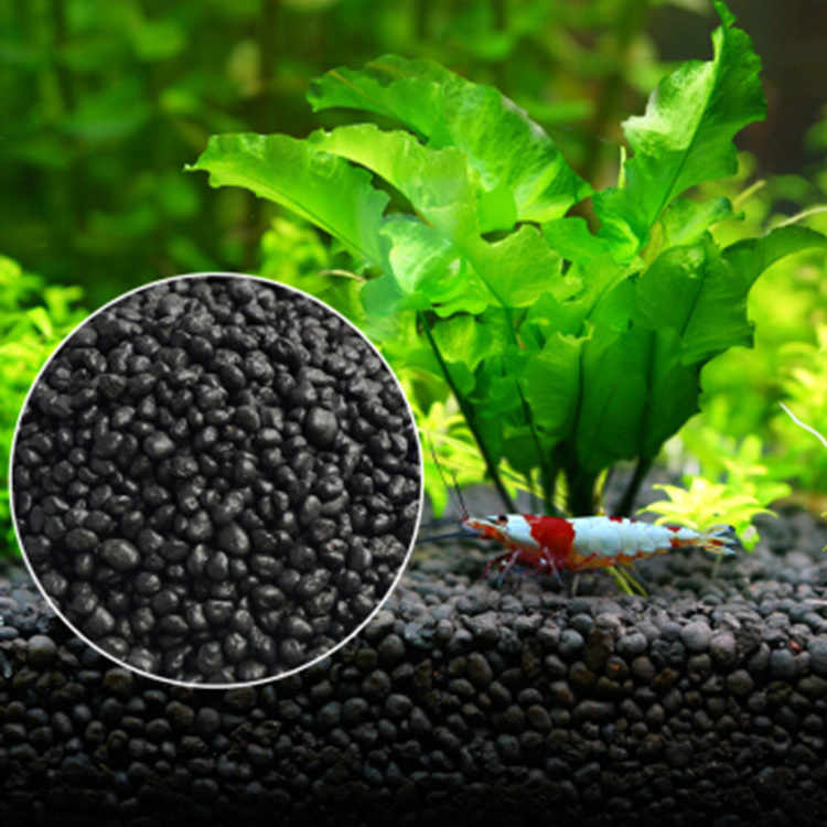 水族館植物の種子,水槽の素材,砂,土壌肥料,魚の手入れ,淡水 - Aquarium Fish Quarantine のレビューと価格