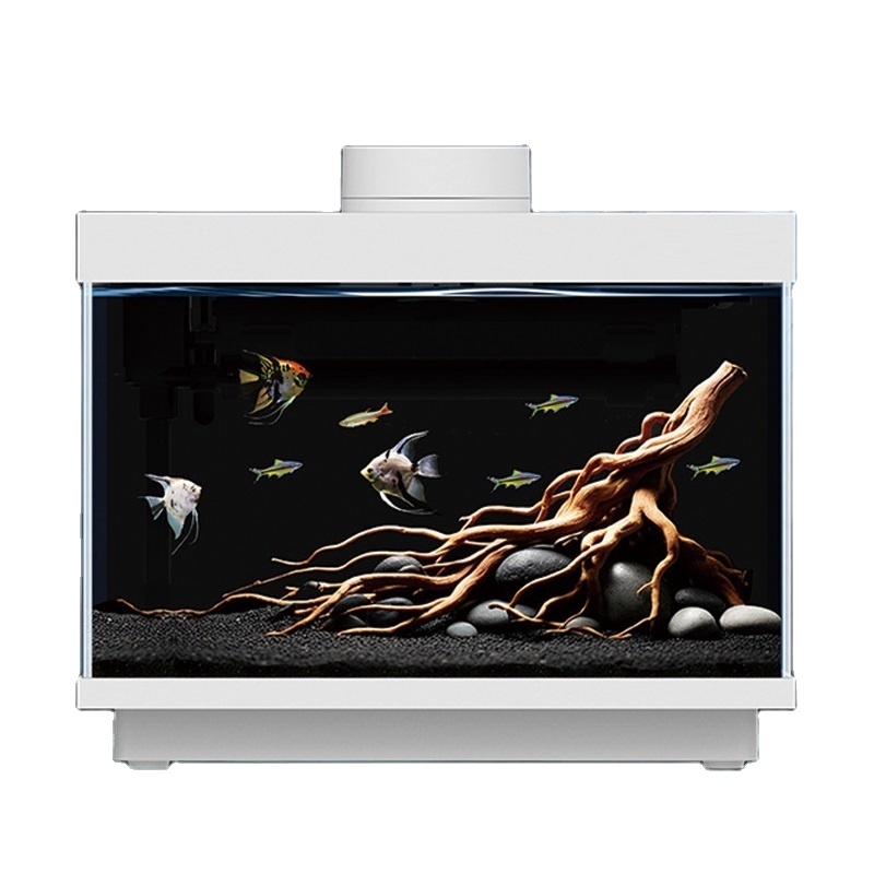 多機能オールインワン5Wデスクトップ水槽スマートガラス製魚タ - All Fish In Aquarium のレビューと価格