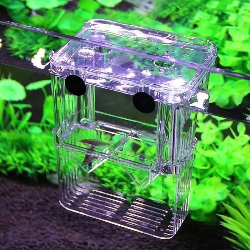 多機能水槽 高透明魚繁殖隔離ボックス 水槽用繁殖器 ダブルグ - Aquarium Fish In Bowl のレビューと価格