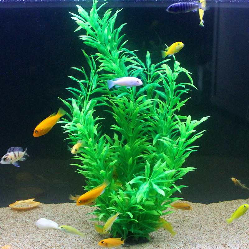 人工水槽50cm,珍しい植物,水族館,偽の竹の葉,水草,プラ - Aquarium Fish Quarantine のレビューと価格