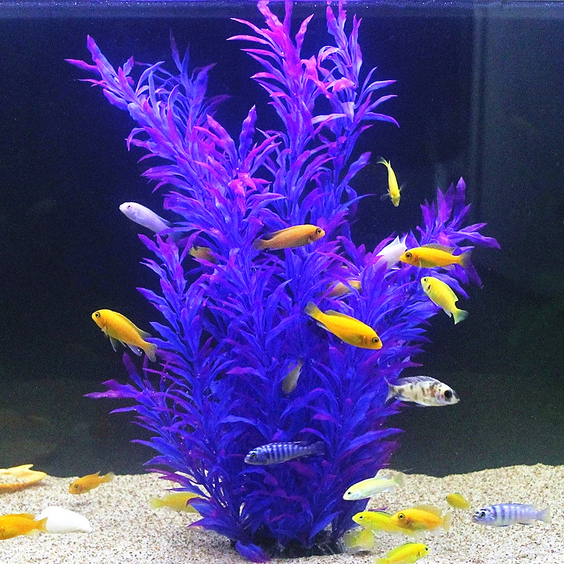 人工水槽50cm,珍しい植物,水族館,偽の竹の葉,水草,プラ - Aquarium Fish Quarantine のレビューと価格