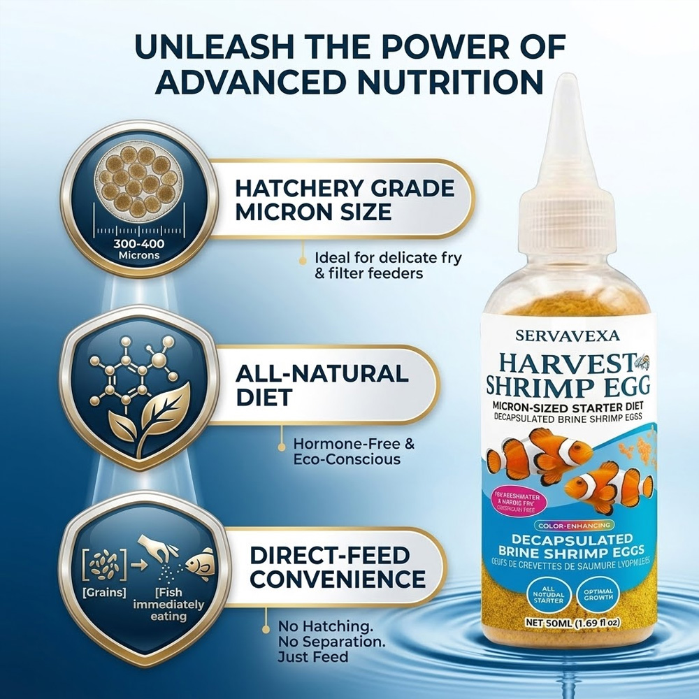 ベタ・グッピー稚魚用高タンパク質魚飼料 プレミアム水槽用飼料 - Aquarium Fish Elevator のレビューと価格