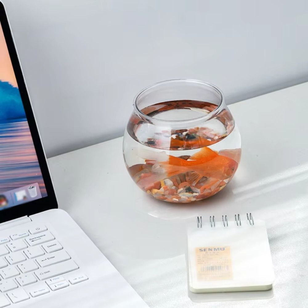 新しい透明な水槽、丸型、割れない、プラスチック製、軽量、小型 - Aquarium Fish In Bowl のレビューと価格