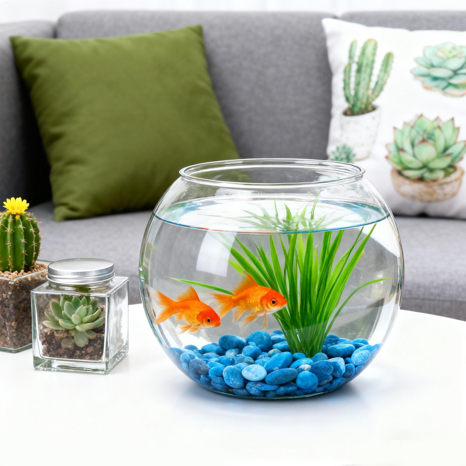 バブルボウル 省スペース水槽アクセサリー バブルプランターボ - Aquarium Fish In Bowl のレビューと価格