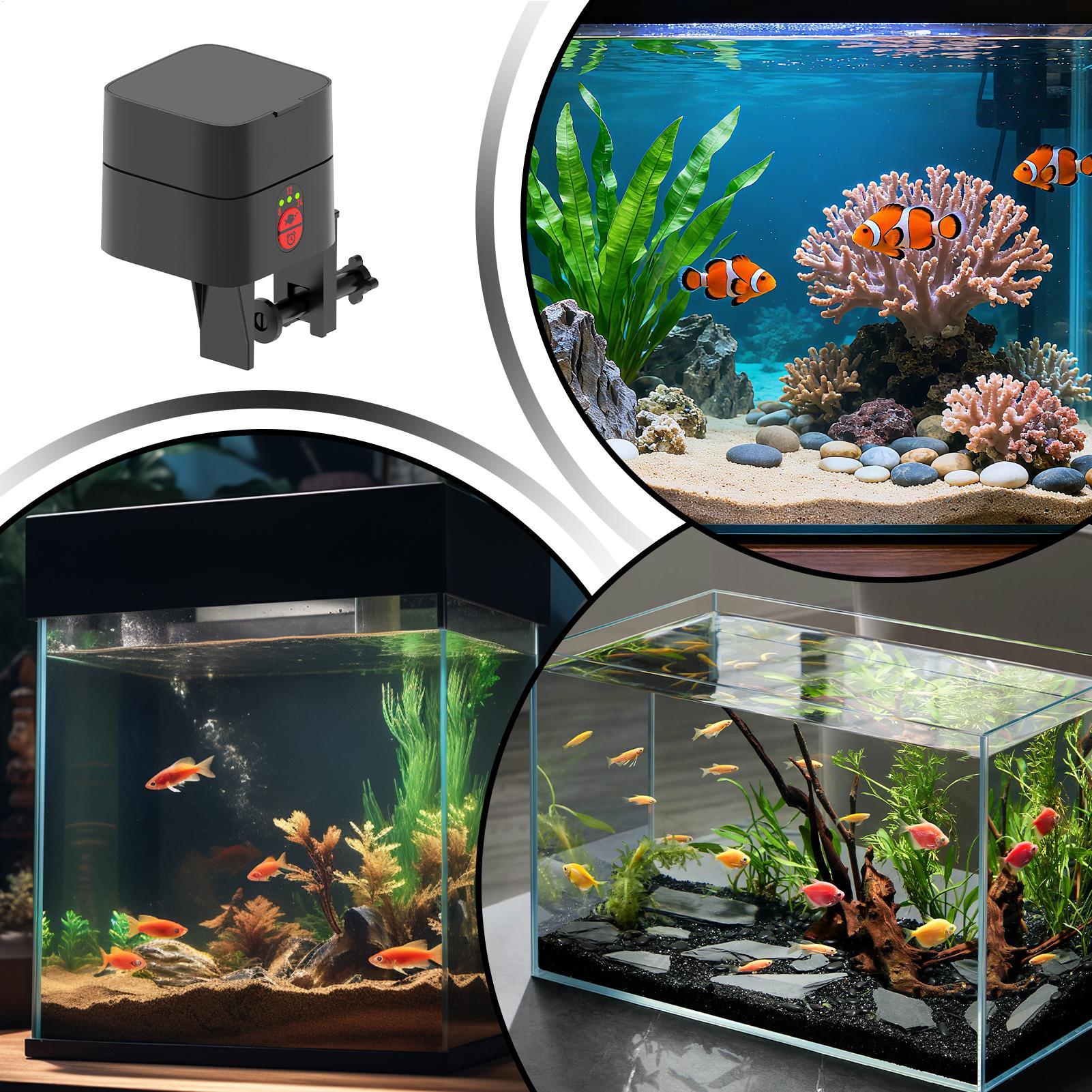 水槽用自動魚フィーダー 自動式Type-C充電式ディスペンサ - Aquarium Fish In Bowl のレビューと価格