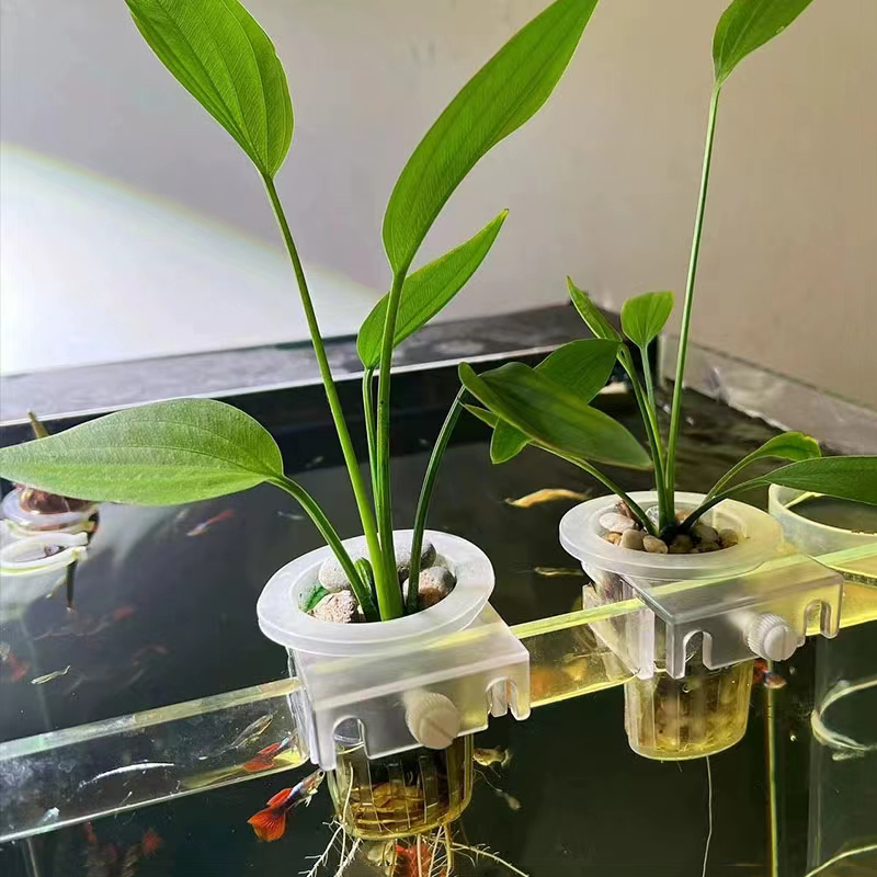 水槽、水族館の植栽バスケット、水グラスカップ、植物ホルダーの - Aquarium Fish Elevator のレビューと価格