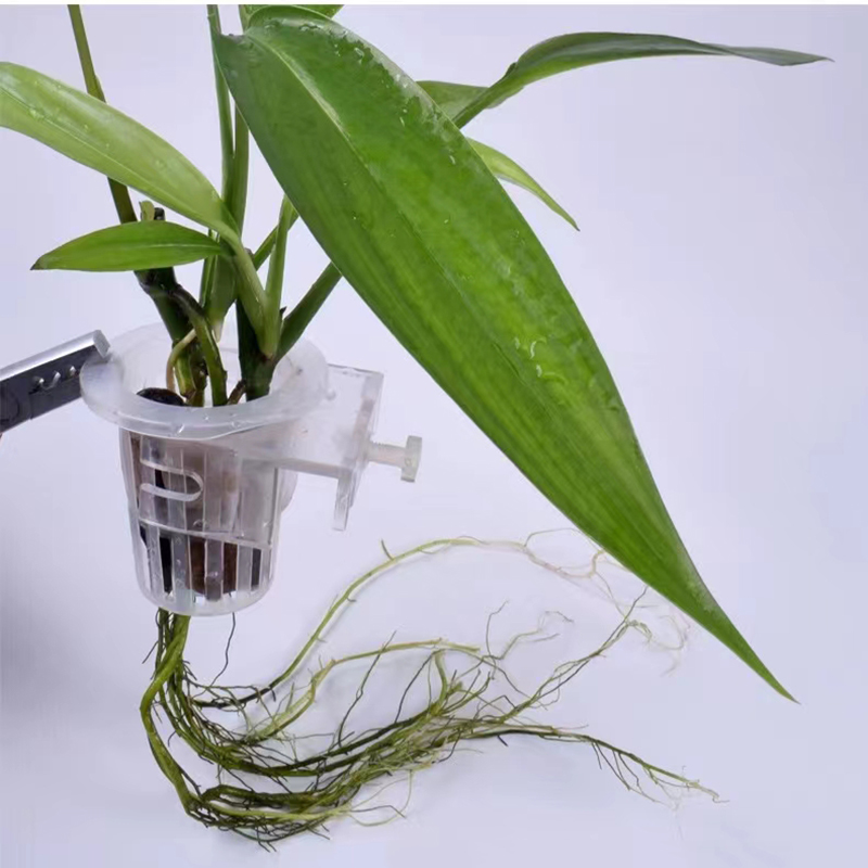 水槽、水族館の植栽バスケット、水グラスカップ、植物ホルダーの - Aquarium Fish Elevator のレビューと価格