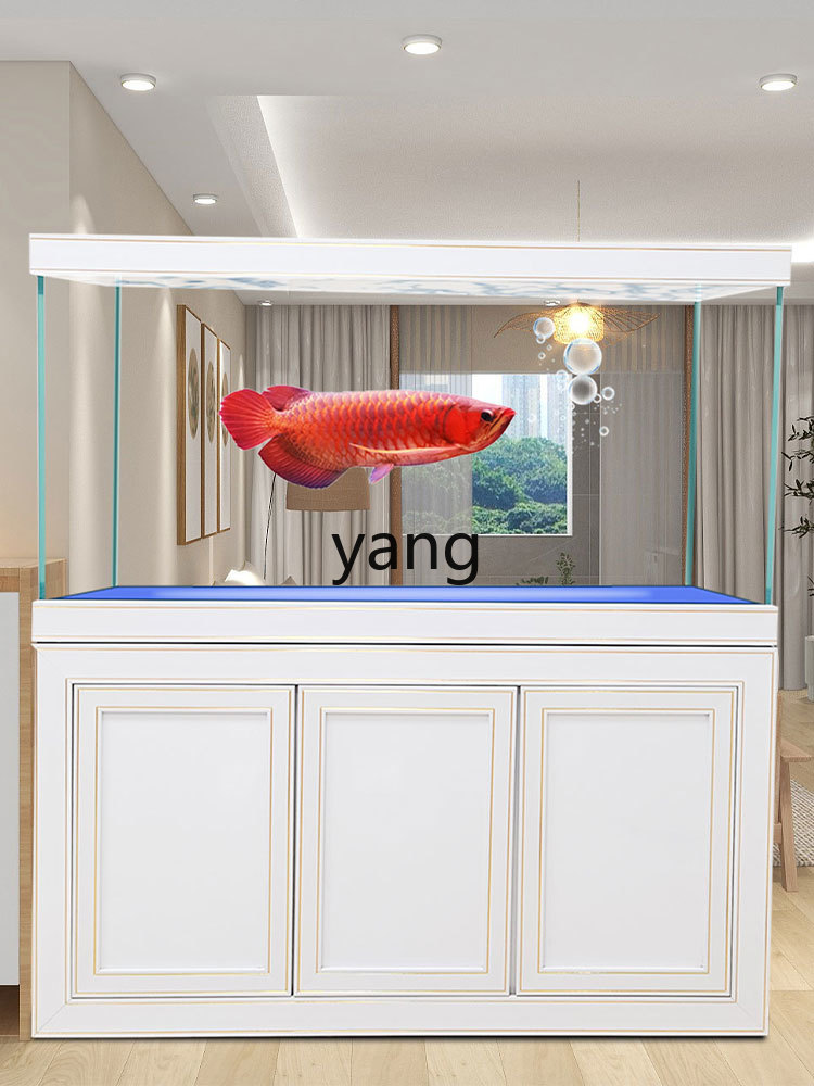 LHスーパーホワイトガラス製中型・大型高級龍魚水槽底面フィル - Aquarium Fish Dragon のレビューと価格