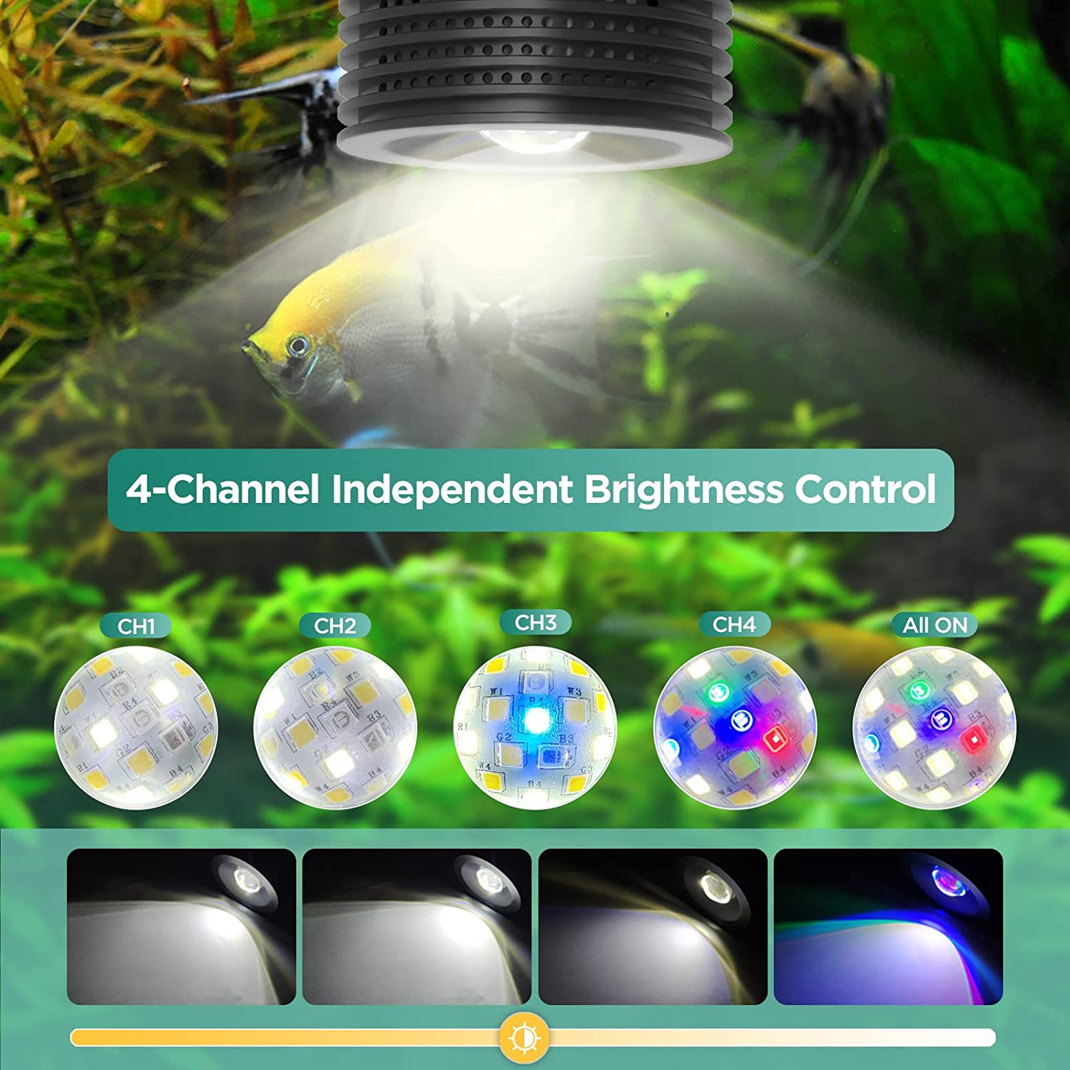 Lominie Asta 20 淡水 18 ワット RGBW - Refugium Light Nano のレビューと価格