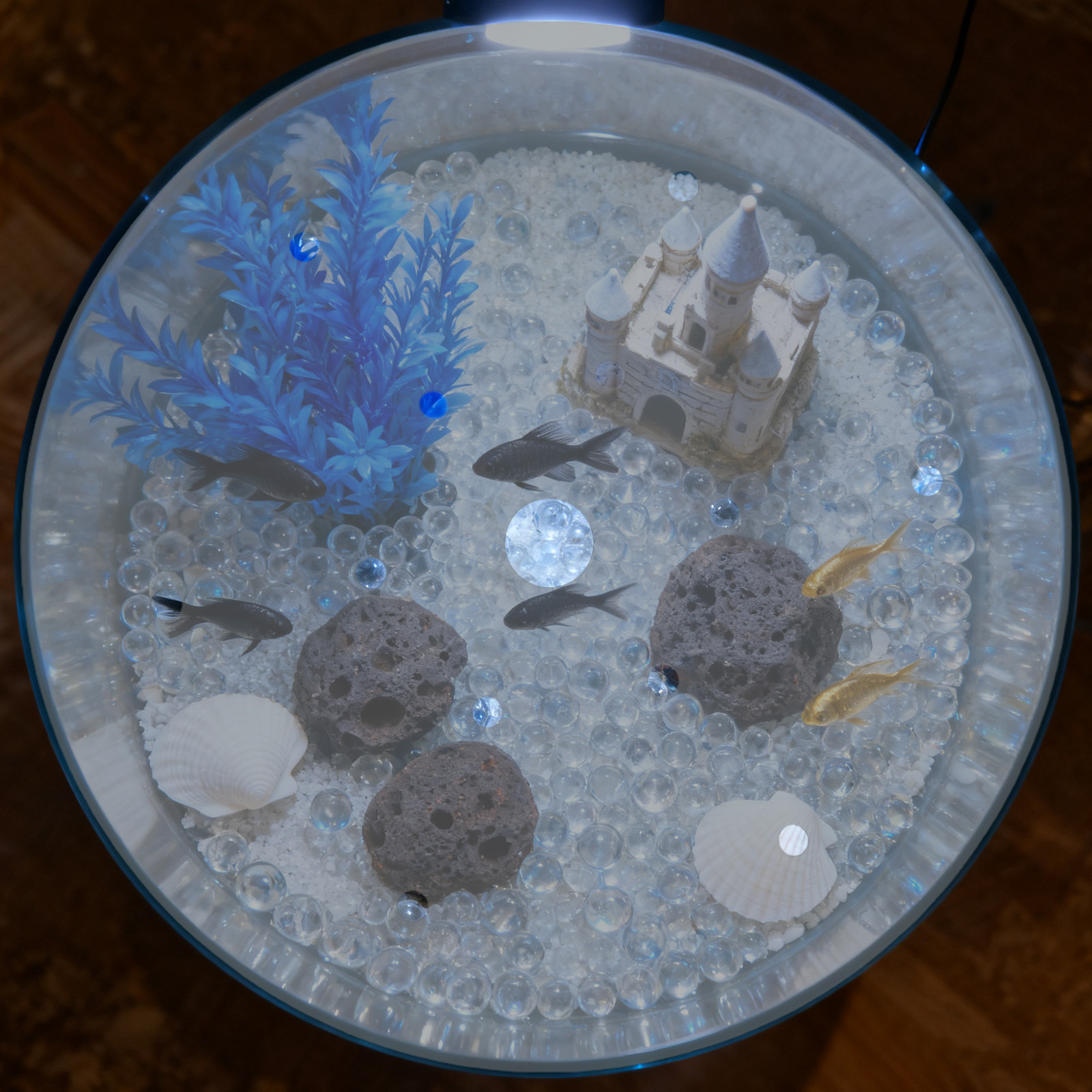 7 インチ丸型アクリル水槽カバー脱走防止蓋透明水槽保護プレー - Aquarium Fish In Bowl のレビューと価格